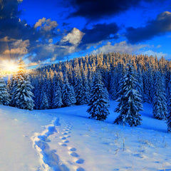 Collection image for: LES TROUVAILLES