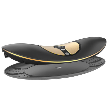 Smart the heated massage cushion